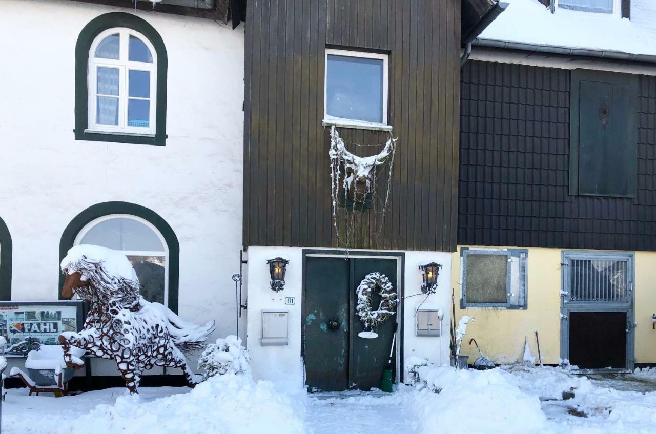 Studio - Grosses Wohn-Schlafzimmer - Dachterrasse - Kamin - Kuche - Hohes Venn - Monschau - Eifel - Hunde Willkommen Beim Hof Vierzehnender Exterior photo